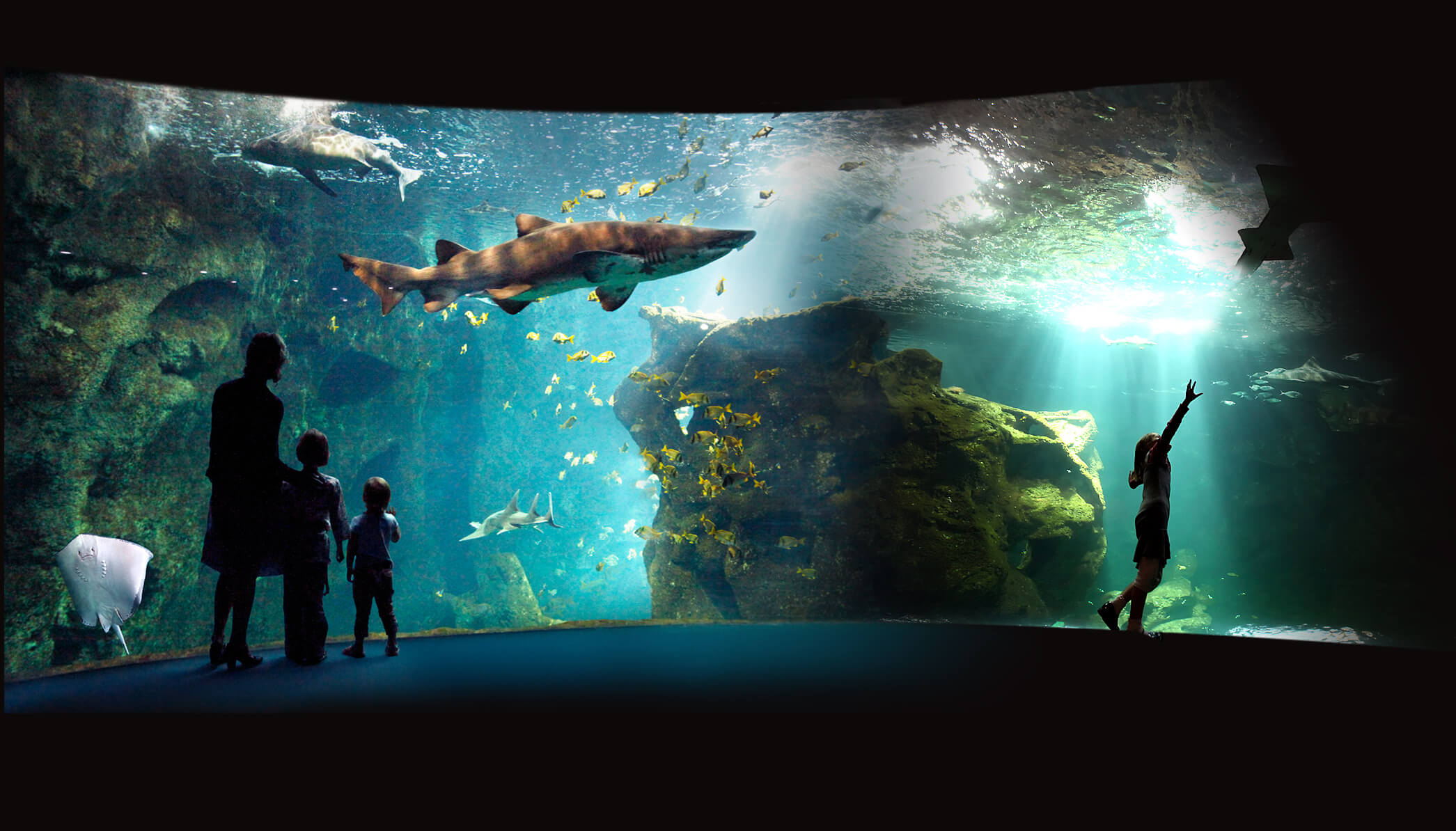 2. aquarium rochelle.jpg (262 KB)